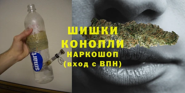 ГАЛЛЮЦИНОГЕННЫЕ ГРИБЫ Дмитровск
