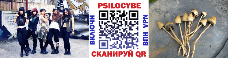 Купить  Отрадное  Псилоцибиновые грибы MAGIC MUSHROOMS 